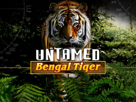 Untamed Bengal Tiger