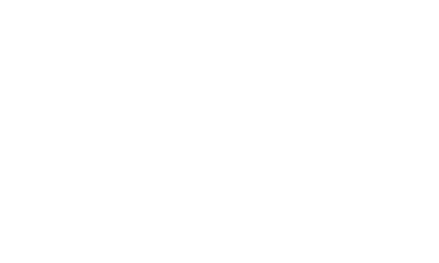 SpinJuju